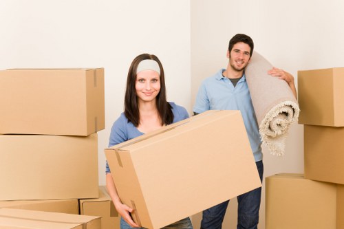 Preparing boxes and furniture for a man with van service