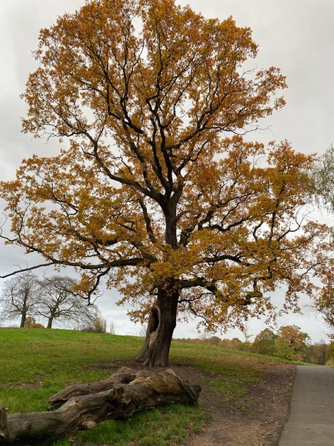 https://manwithvanhonoroak.co.uk/blog/horniman-museum-area-moves-narrowaccess-advice/